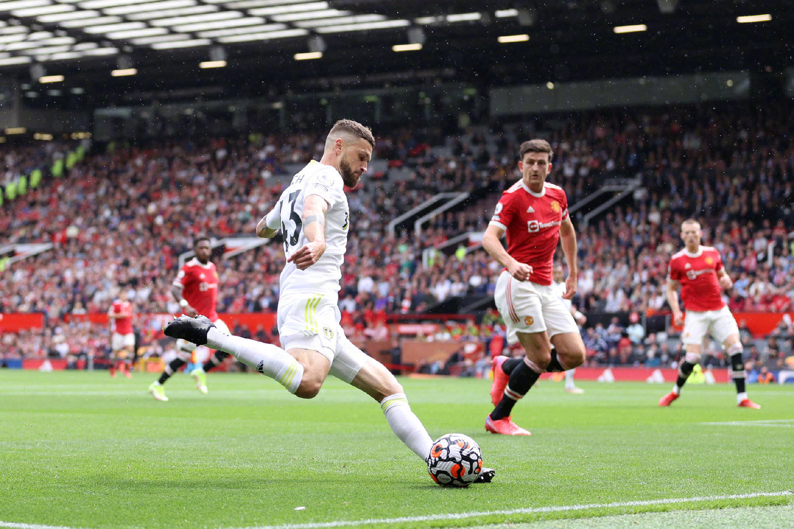 已然成为球 已然成为球